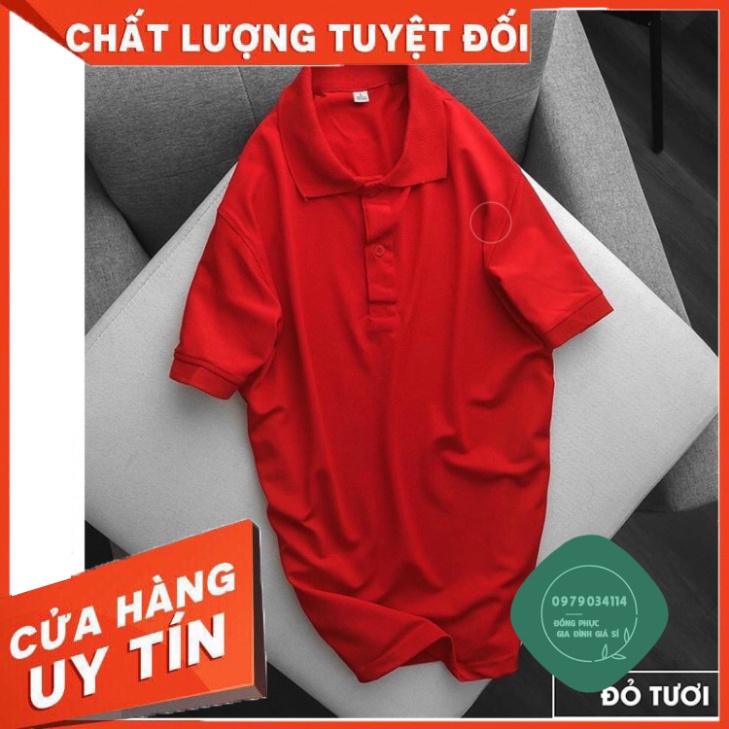 Áo đồng phục công ty xí nghiệp hội nhóm quán thun cá sấu thái dày dặn có cổ bẻ polo  Áo thun giá sỉ
