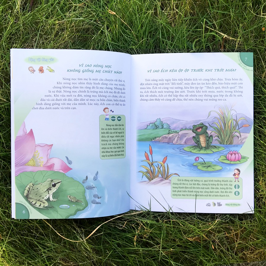 Sách - 10 Vạn câu hỏi vì sao - Gấu Trúc, Voi và Kiến | BigBuy360 - bigbuy360.vn