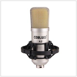 Micro hát karaoke thu âm A2 hát cực nhạy