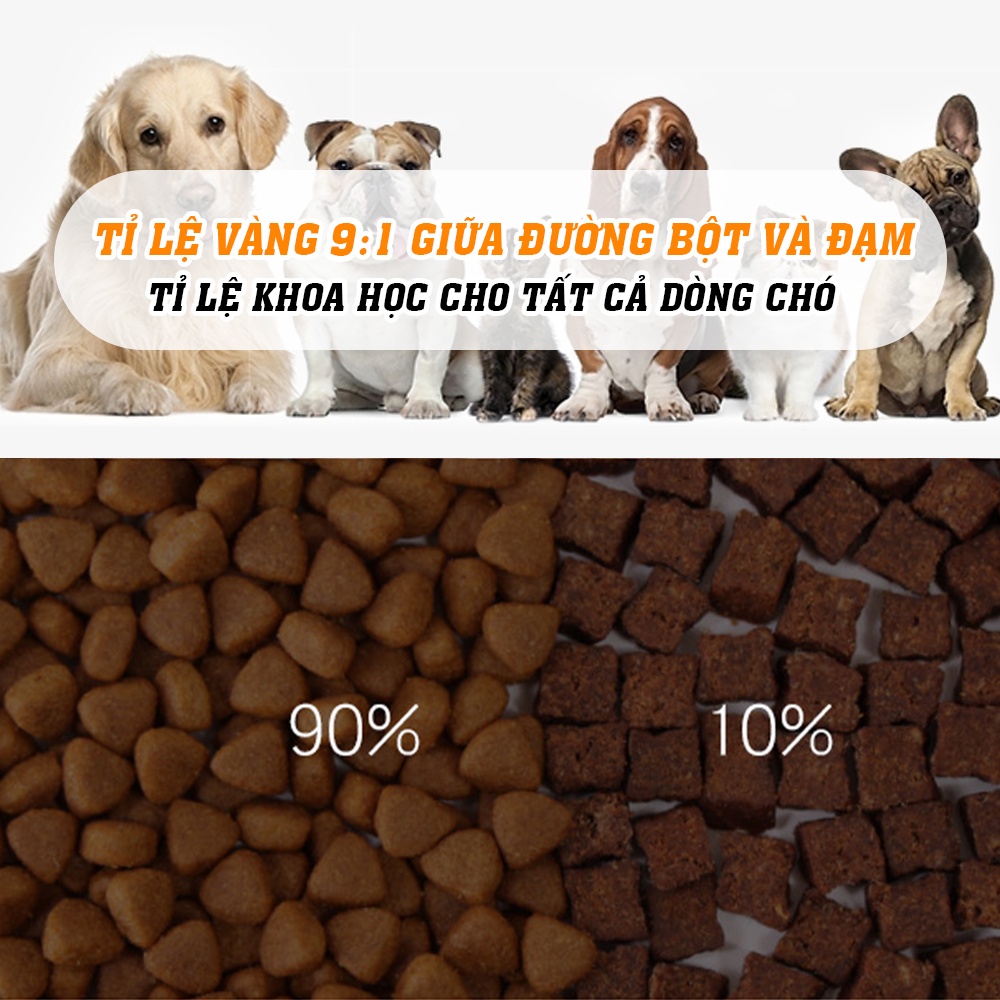 Hạt thức ăn cún cưng Captain 2 loại  trộn lẫn thịt bò, phô mai, cá hồi, rau củ