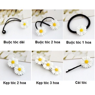 Buộc Tóc, Kẹp Tóc hoa Cúc Họa Mi