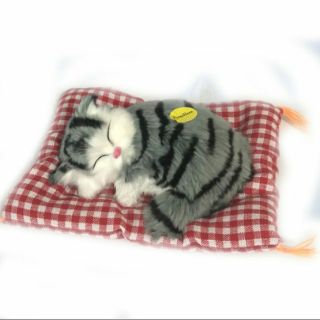 Mèo của GUN thần Cá Mực hầm mật