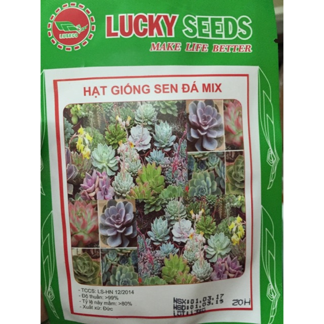 Hạt giống hoa sen đá mix 20 hạt