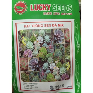 Hạt giống hoa sen đá mix 20 hạt