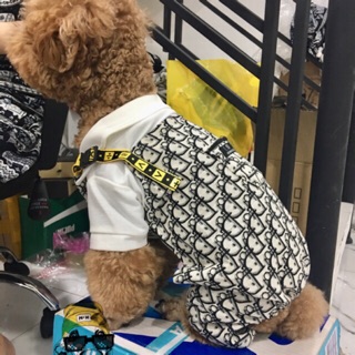 Yếm Dior dành cho chó mèo [QUẦN ÁO THÚ CƯNG]