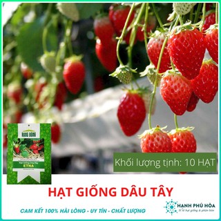 Hạt Giống Dâu Tây Etna Rado 10Hạt/Gói - Giống Sinh Trưởng Rất Mạnh, Năng Suất Cao, Trồng Quanh Năm, Ăn Ngon Ngọt