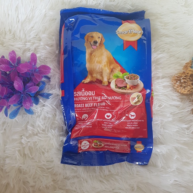 Cám cho chó trưởng thành
