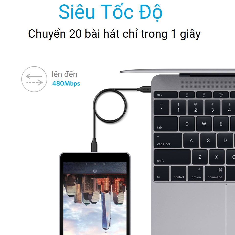 Cáp ANKER Powerline Chuyển Đổi USB-C Ra USB-C 2.0 dài 0.9m - A8181