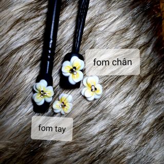 Hoa bột nail (có 2 fom tay và chân cái)