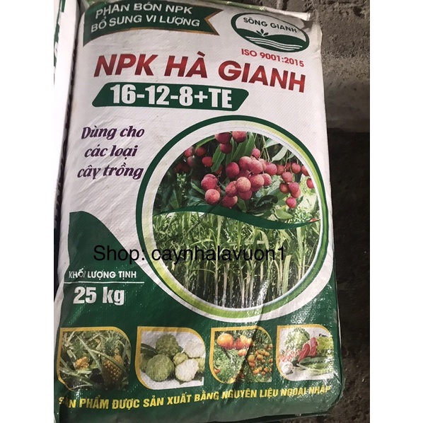Phân bón NPK cho tất cả các loại cây trồng, giúp cây phát triển nhanh, xanh lá, kích thích ra rễ