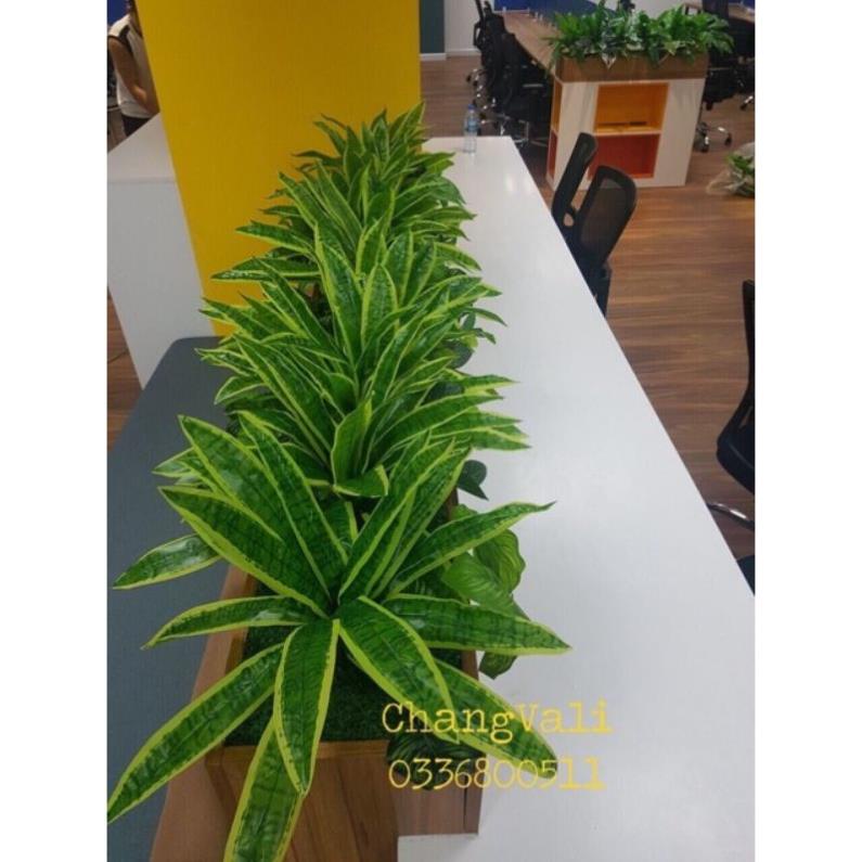 Cây giả - cây trang trí loại lớn - nhiều mẫu