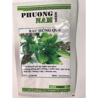 5 Gram Hạt giống rau Húng Quế- Xanh ngọt, Làm gia vị, trang trí cho các món ăn ngon