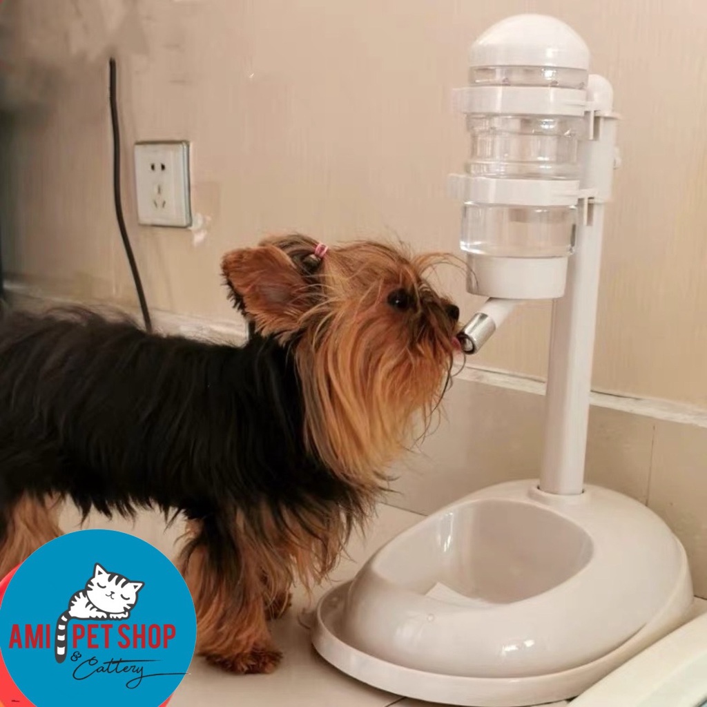 BÌNH NƯỚC TREO KÈM BÁT ĂN CAO CẤP DÀNH CHO CHÓ MÈO TIỆN LỢI AN TOÀNN