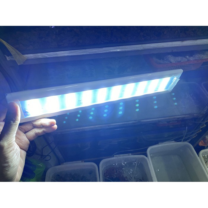 ĐÈN LED KẸP 2 BÊN HỒ CÁ FYS AQUARIUM