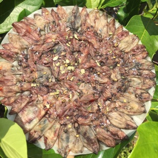 [Freeship 99k] Bánh Tráng Mực Nguyên Con