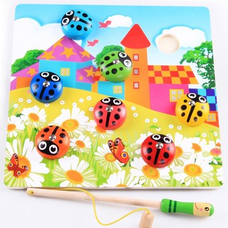 Bộ câu bọ dừa