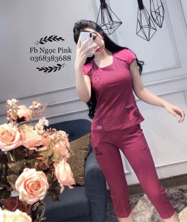 Bộ winny