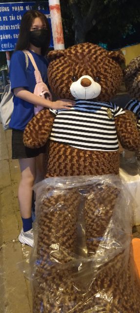Gấu teddy khổ vải 2m cao 1m8