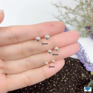 Nụ tròn bạc ta