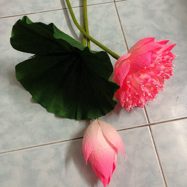 Hoa sen quan âm giấy nhún