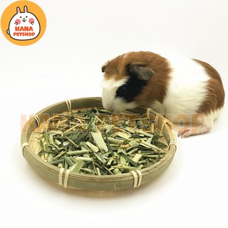 Cỏ Lúa Mạch Cắt Khúc🐹FREESHIP🐹 Cỏ Lúa Mạch Cắt Thức ăn dành cho Thỏ Và Bọ