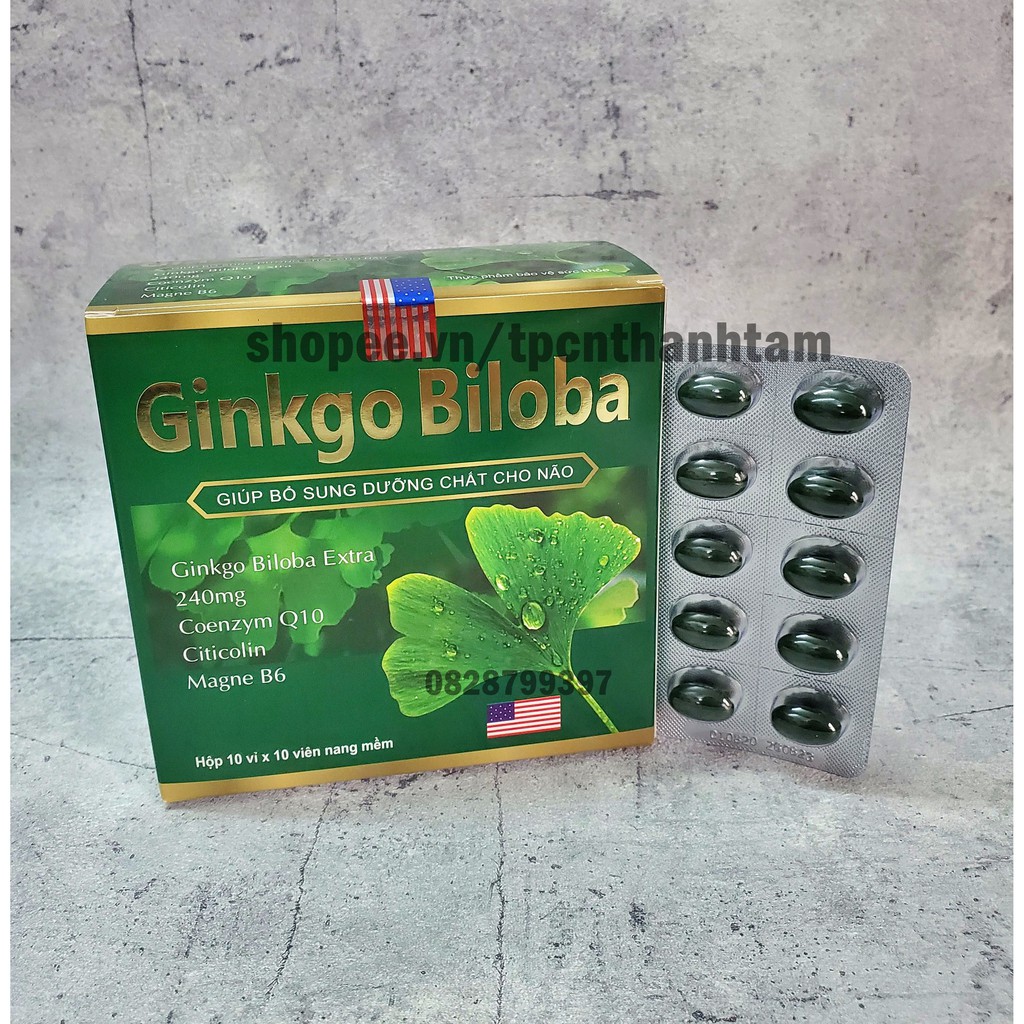 [Xanh] Viên uống bổ não GINKGO BILOBA 240mg giúp tăng cường trí nhớ, tăng tuần hoàn máu não, ngừa tai biến – HỘP 100v