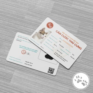 Căn cước cho thú cưng - PET ID
