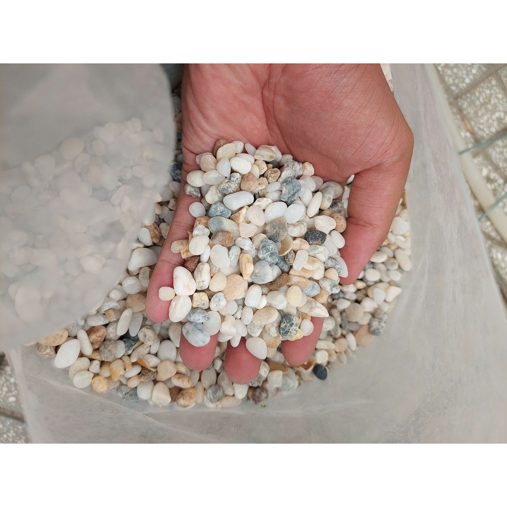 Trang trí hồ cá, 1,6kg sỏi tự nhiên