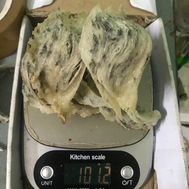 Yến sào thô nguyên tổ Nha Trang, Khánh Hoà 100g +🎁🎁🎁