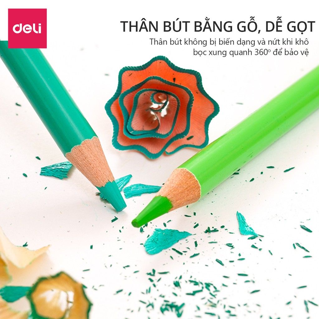 Bút chì màu gốc dầu cao cấp Deli - Bút chì làm bằng gỗ hương - 24 / 36 / 48 / 72 Màu - 6565 / 6566 / 6567 / 6568