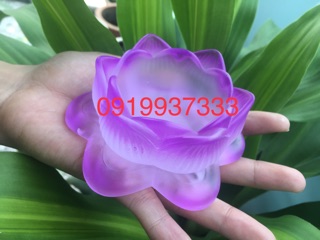 Chân đèn hoa sen
