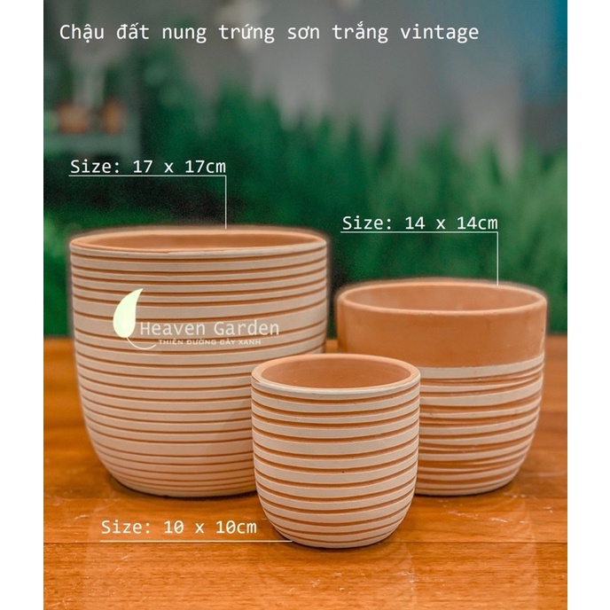 Chậu đất nung trứng sơn trắng vintage - chậu trồng cây