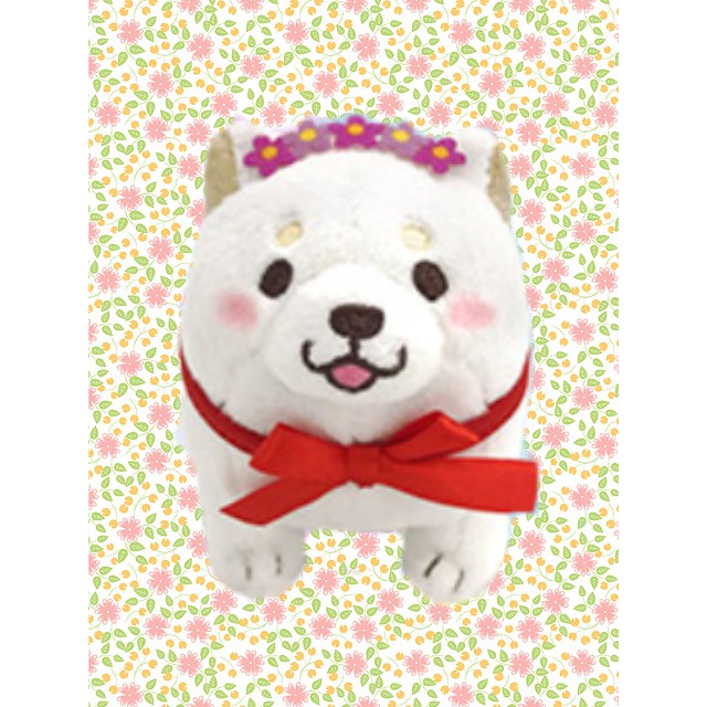 Mochi Shiba Rice Shop Chính Hãng Gấu Bông Nhật Amuse Authentic