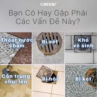 Phễu thoát sàn - F2090