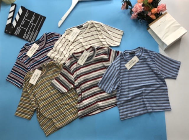 Áo thun gân croptop tay ngắn hình chụp thật 100%