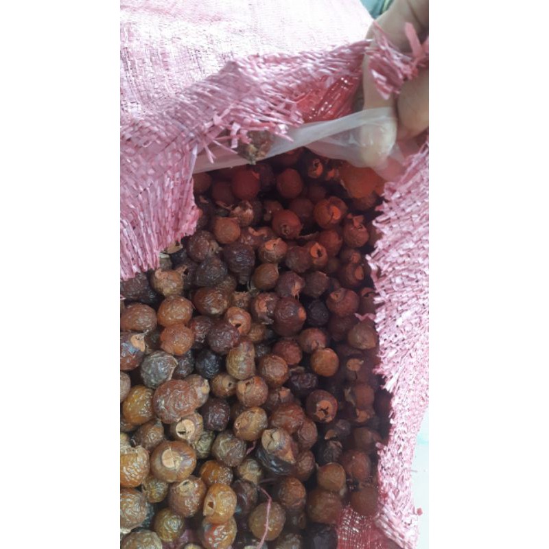 Quả bồ hòn khô tách hạt 51k1 kg | BigBuy360 - bigbuy360.vn