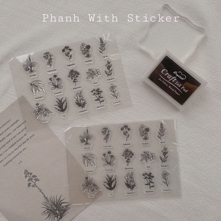 D003 - CLEAR STAMP dấu trong suốt