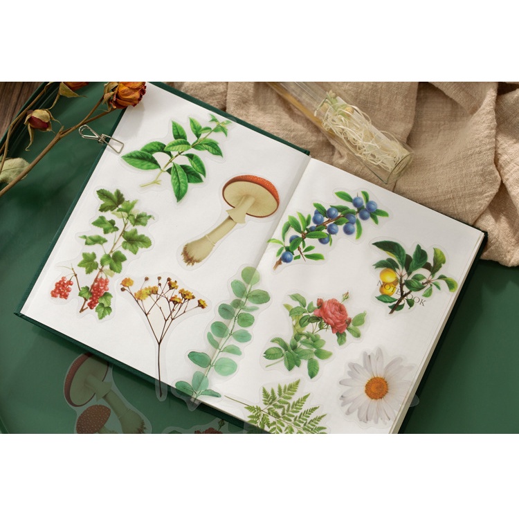 Gói 40 sticker dạng PET hoa lá cỏ