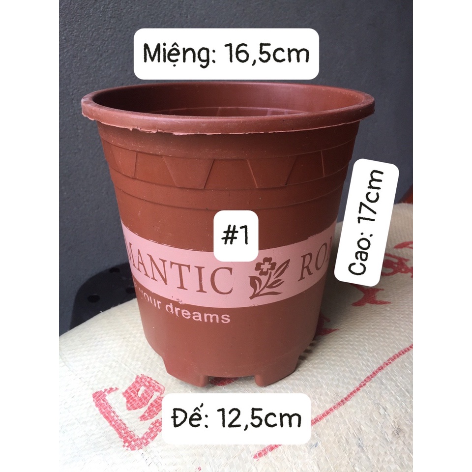 5 CHẬU NHỰA ROMANTIC #1 (BẦU KHAY TÚI ƯƠM, KEO LIỀN SẸO CÂY, KÍCH RỄ MẦM CÂY...)