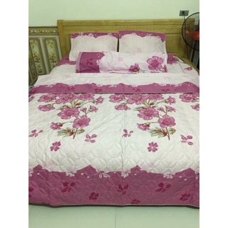 Bộ chăn ga gối cotton poly