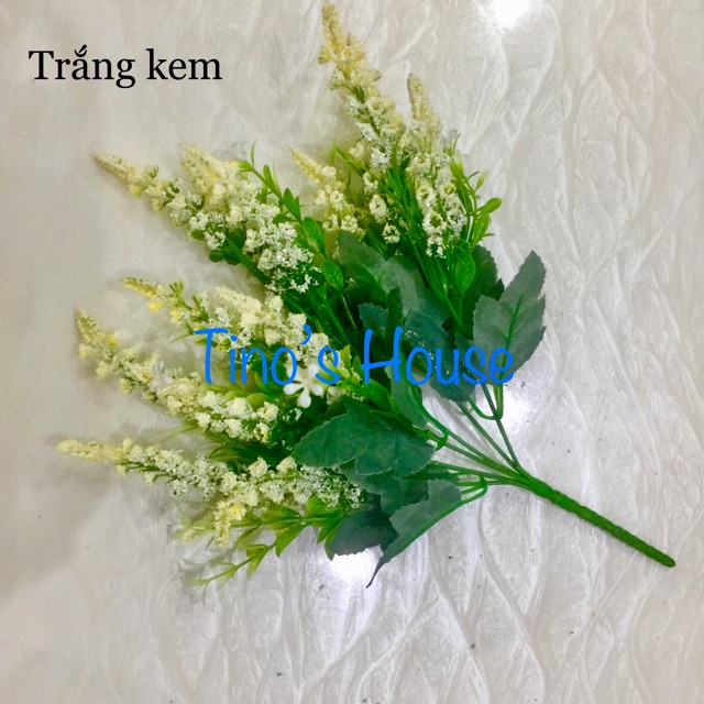 Chùm Hoa Lavender - Loài Thảo dược Tình Yêu, Tượng Trưng Cho Sự Chung Thuỷ.