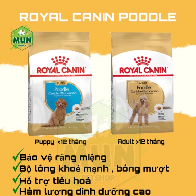 Thức ăn hạt cho chó Royal Canin Poodle Puppy-Adult túi 1,5kg