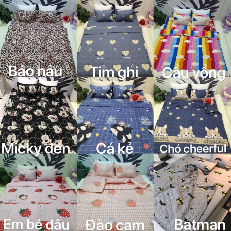 Chăn hè ( mền ) COTTON POLY trần bông 3 lớp, chat chọn mẫu