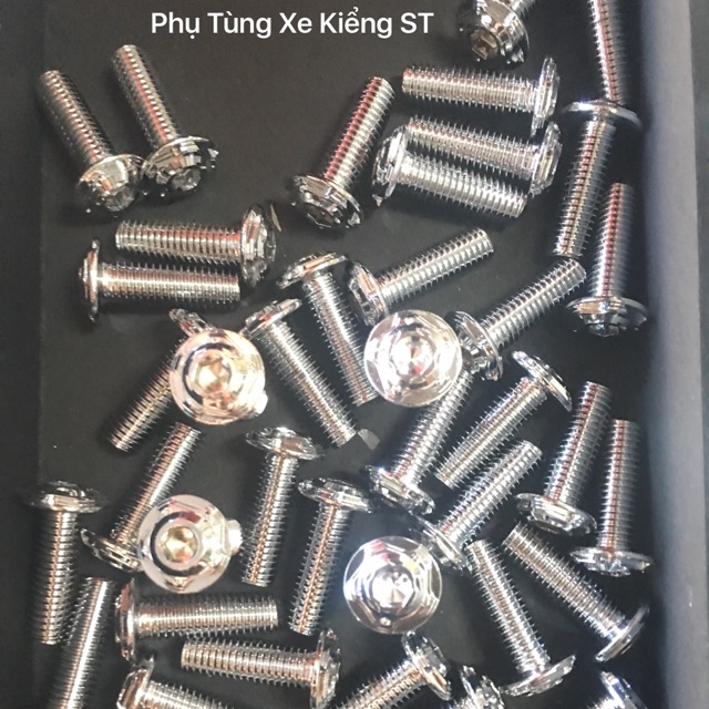 Ốc Đĩa Thái Ngôi Sao!