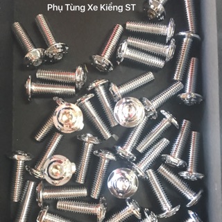 Ốc Đĩa Thái Ngôi Sao!