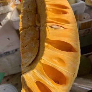 Cây 🌲 Mít thái chân rai....mít thái siêu sớm