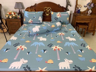 Drap cotton hàn quốc