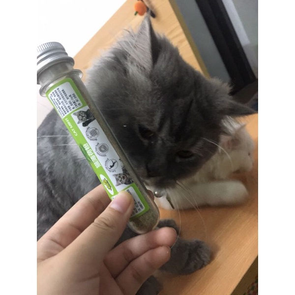 Cỏ bạc hà catnip cho mèo , cỏ mèo cat mint hít ngửi ăn loại ống khô 10g