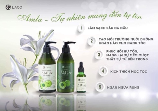 ✅[ RẺ VÔ ĐỊCH ] BỘ BA SẢN PHẨM DẦU GỘI DẦU XẢ SERUM AMLA LACO NGỪA RỤNG KÍCH MỌC TÓC CHÍNH HÃNG | BigBuy360 - bigbuy360.vn