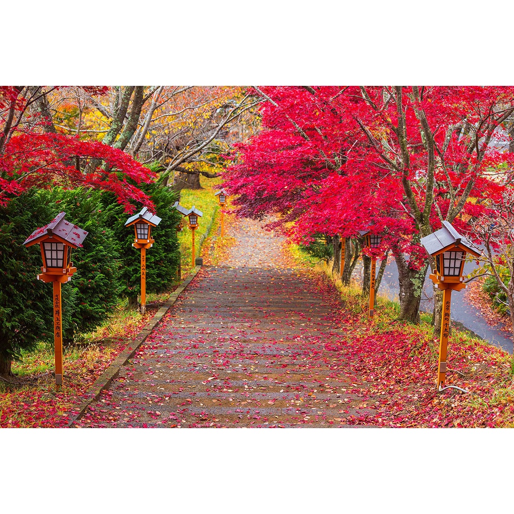 Tranh lụa 3D Phong cảnh HÀN QUỐC – KOREA giá rẻ, chất lượng cao